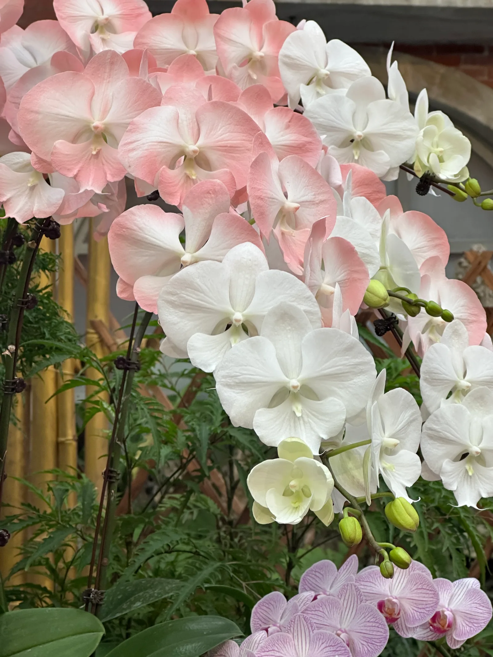 Shilin Residence Park — romantic guide Taipei