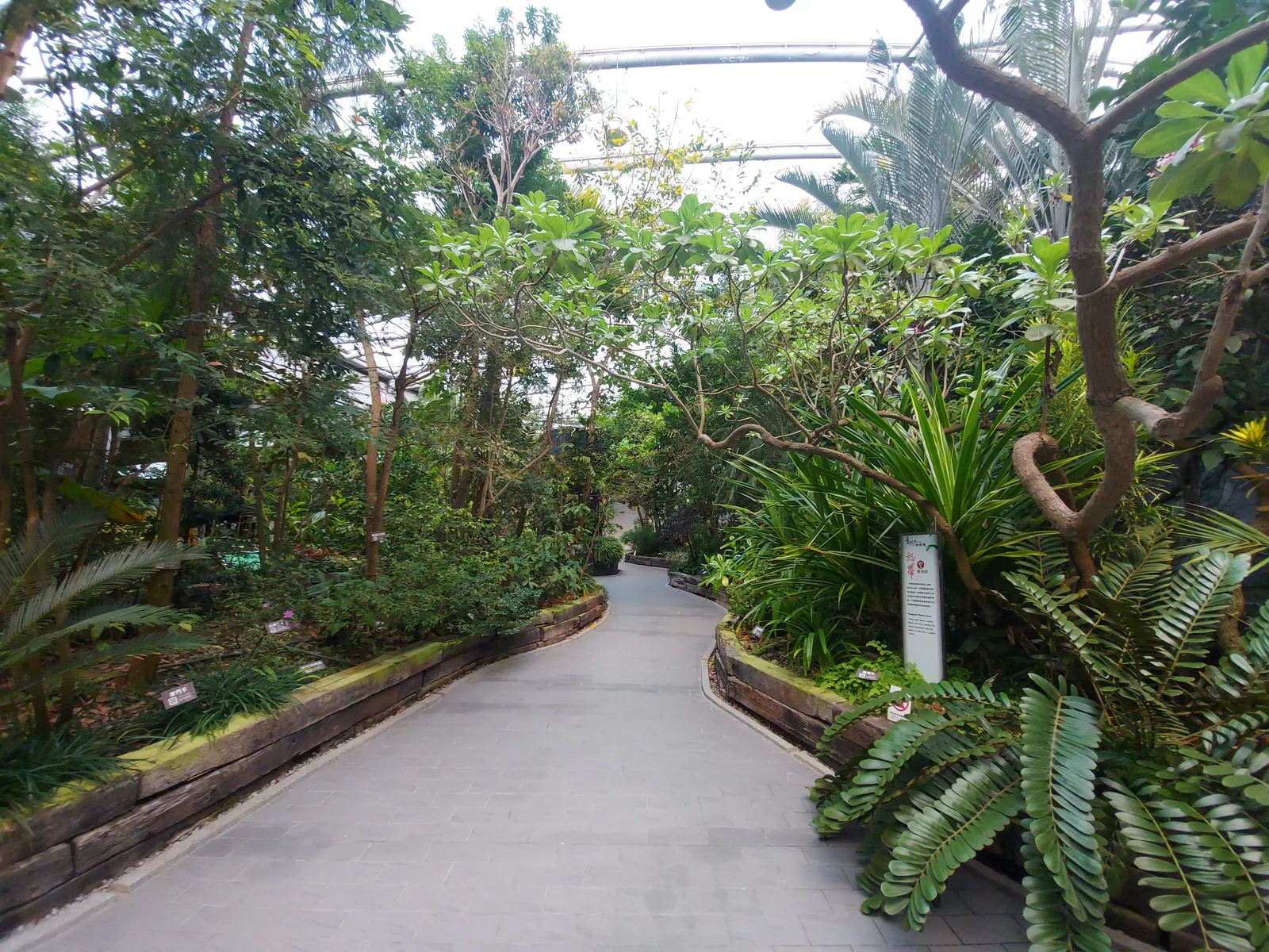 Main view at Taipei Collectible Botanical Garden Taipei — travel photo