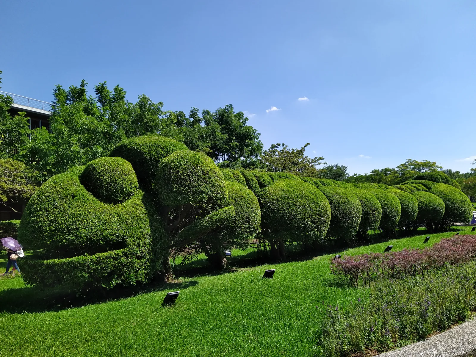 Details at Taipei Collectible Botanical Garden Taipei — travel photo