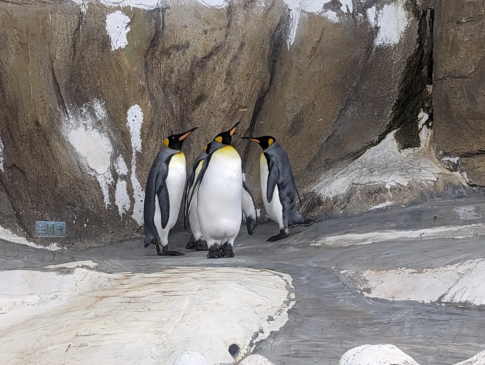 Interior at Taipei Zoo Taipei — travel photo