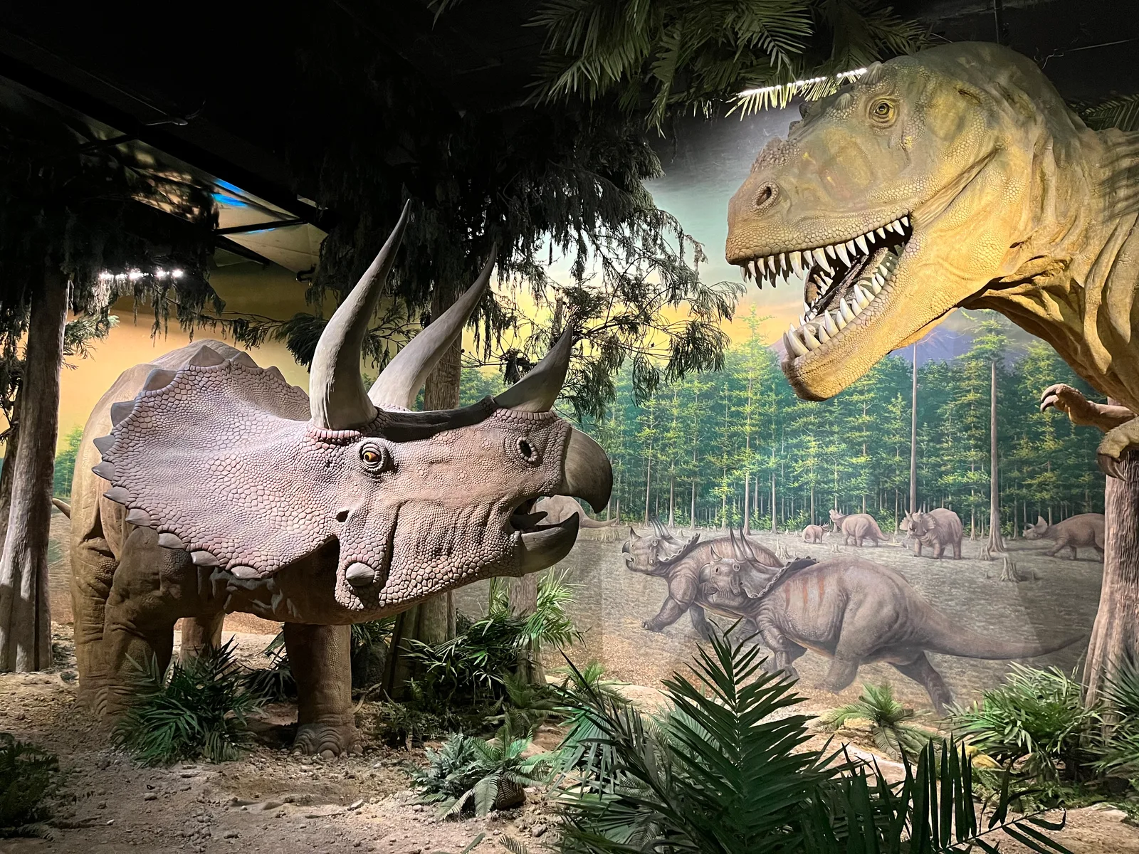 Atmosphere at Taipei Zoo Taipei — travel photo