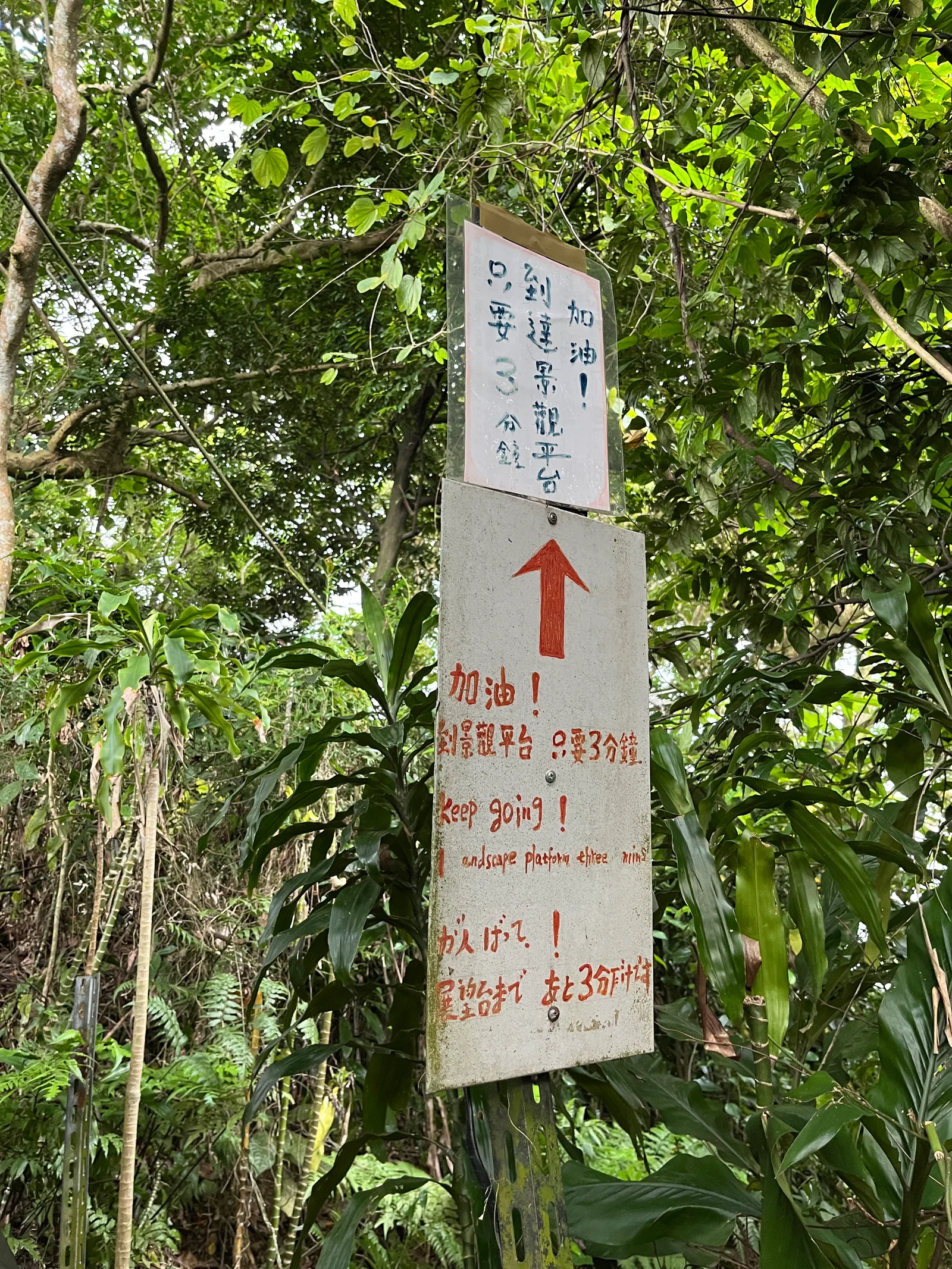 Interior at XiangShan Peak Taipei — travel photo