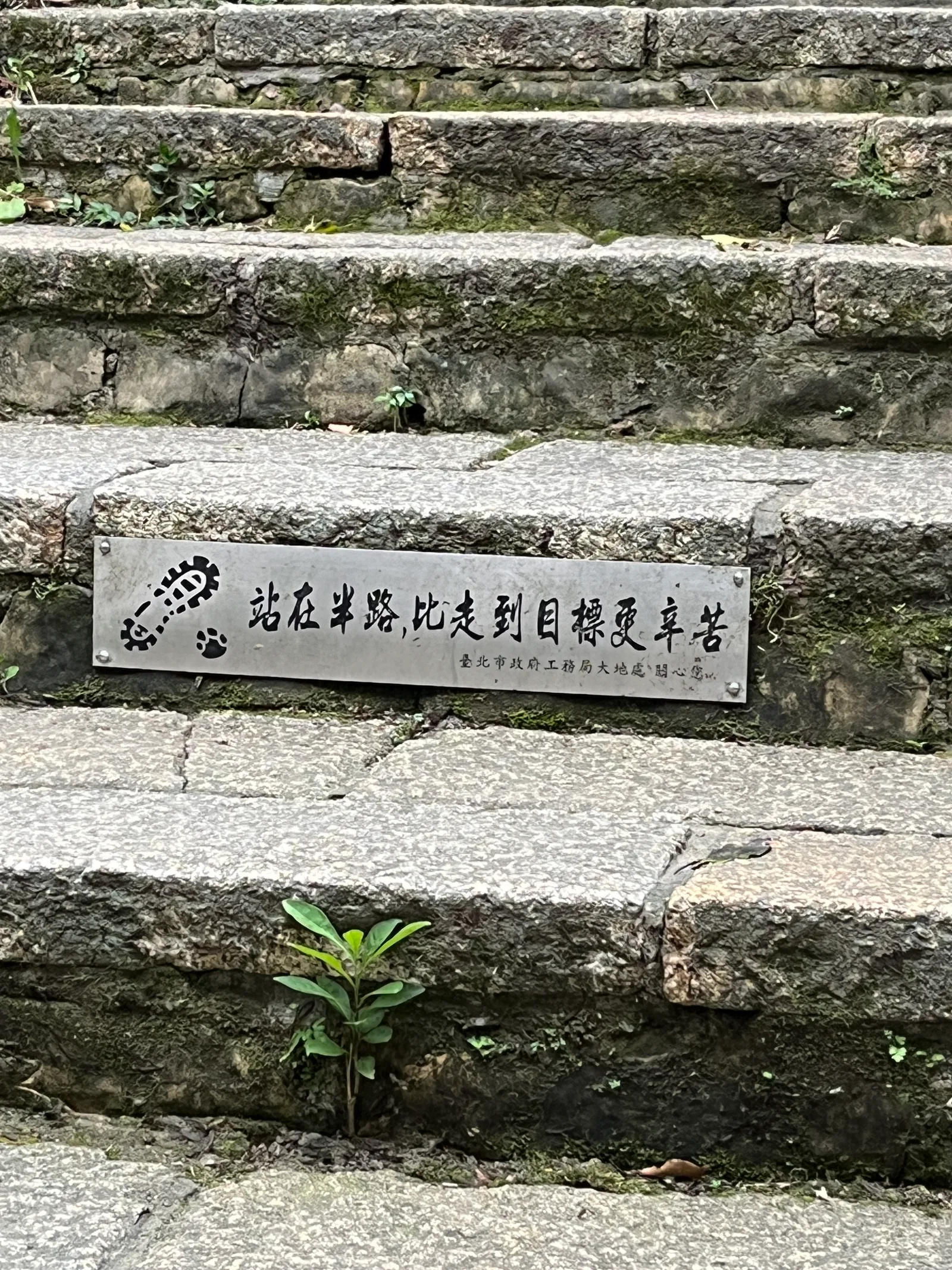 Details at XiangShan Peak Taipei — travel photo
