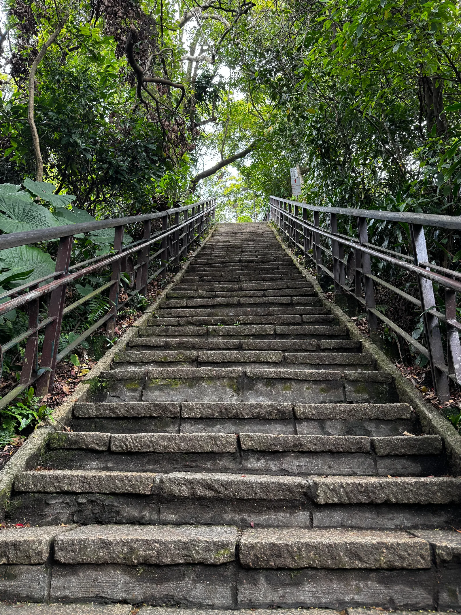 Atmosphere at XiangShan Peak Taipei — travel photo