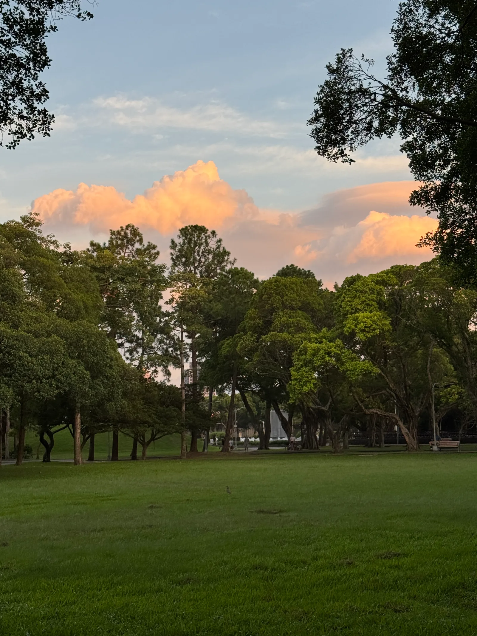 Youth Park — family guide Taipei
