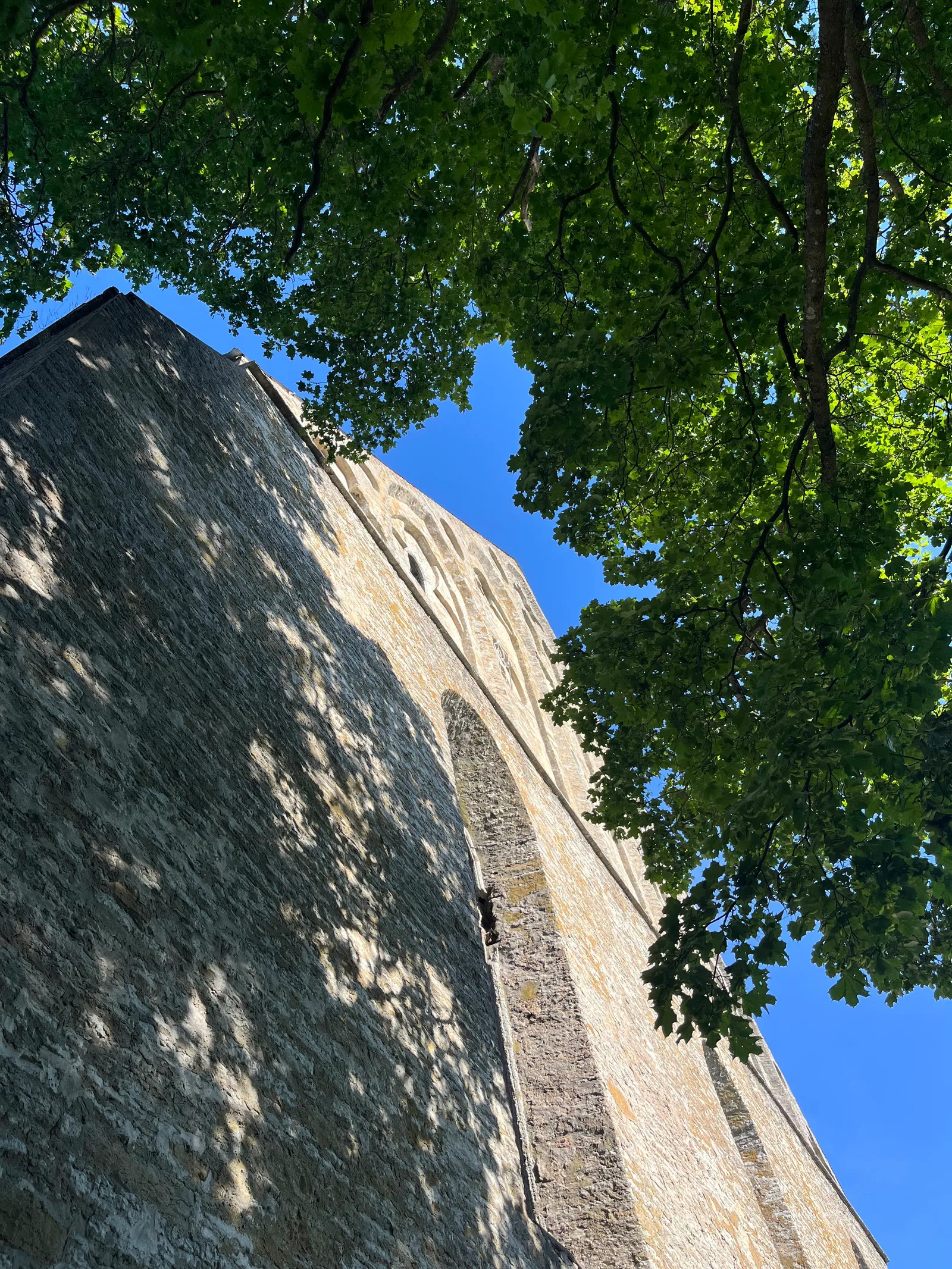 Main view at Birgitta Convent Ruins Tallinn — travel photo
