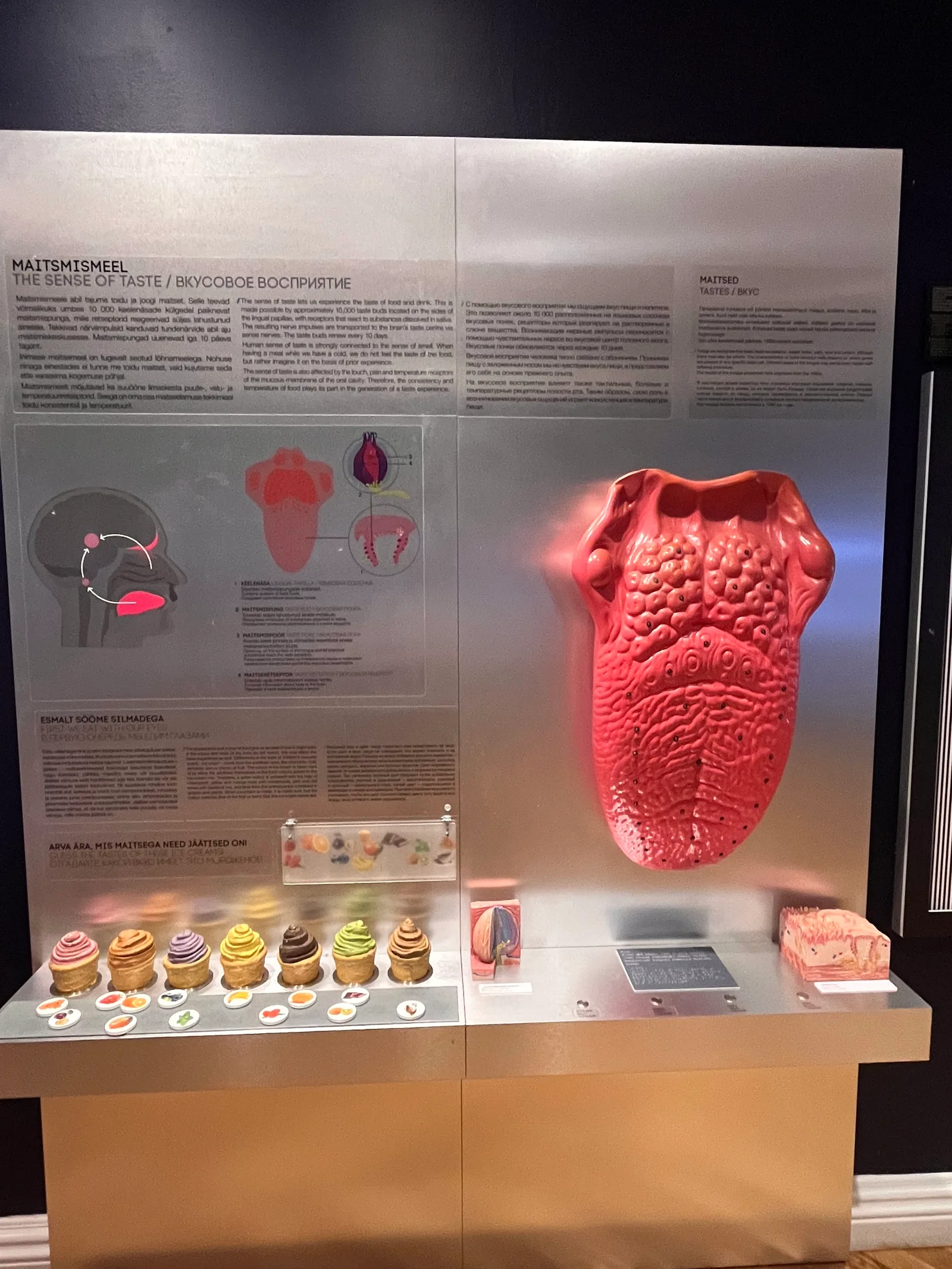 Interior at Estonian Health Museum Tallinn — travel photo