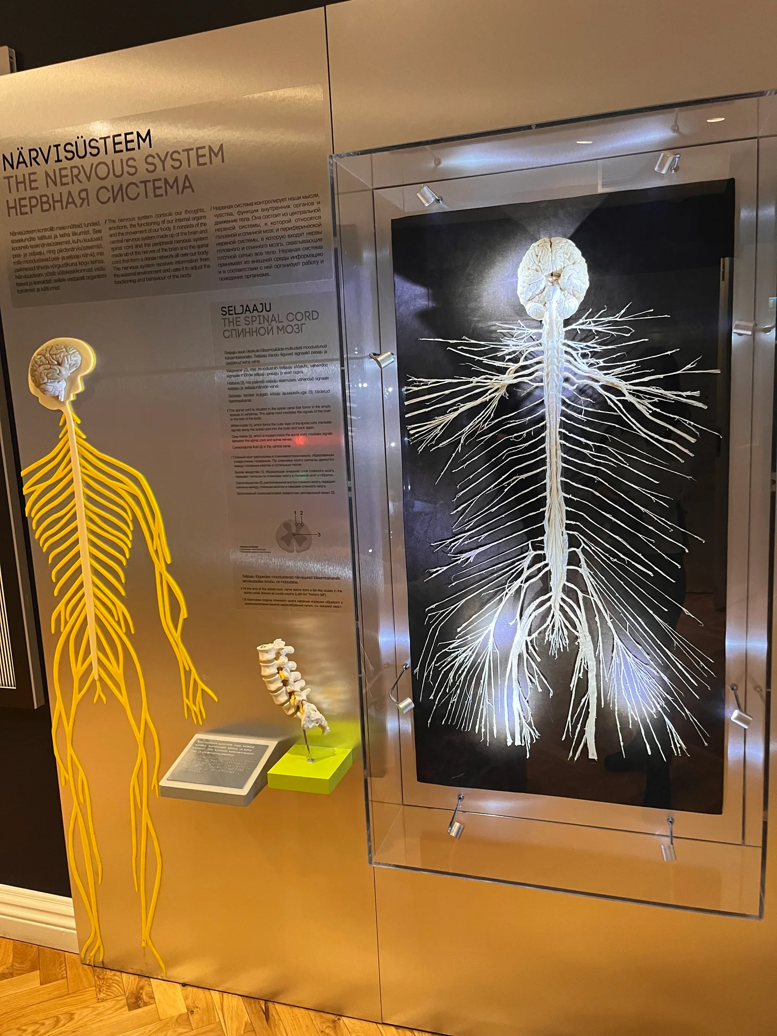 Details at Estonian Health Museum Tallinn — travel photo