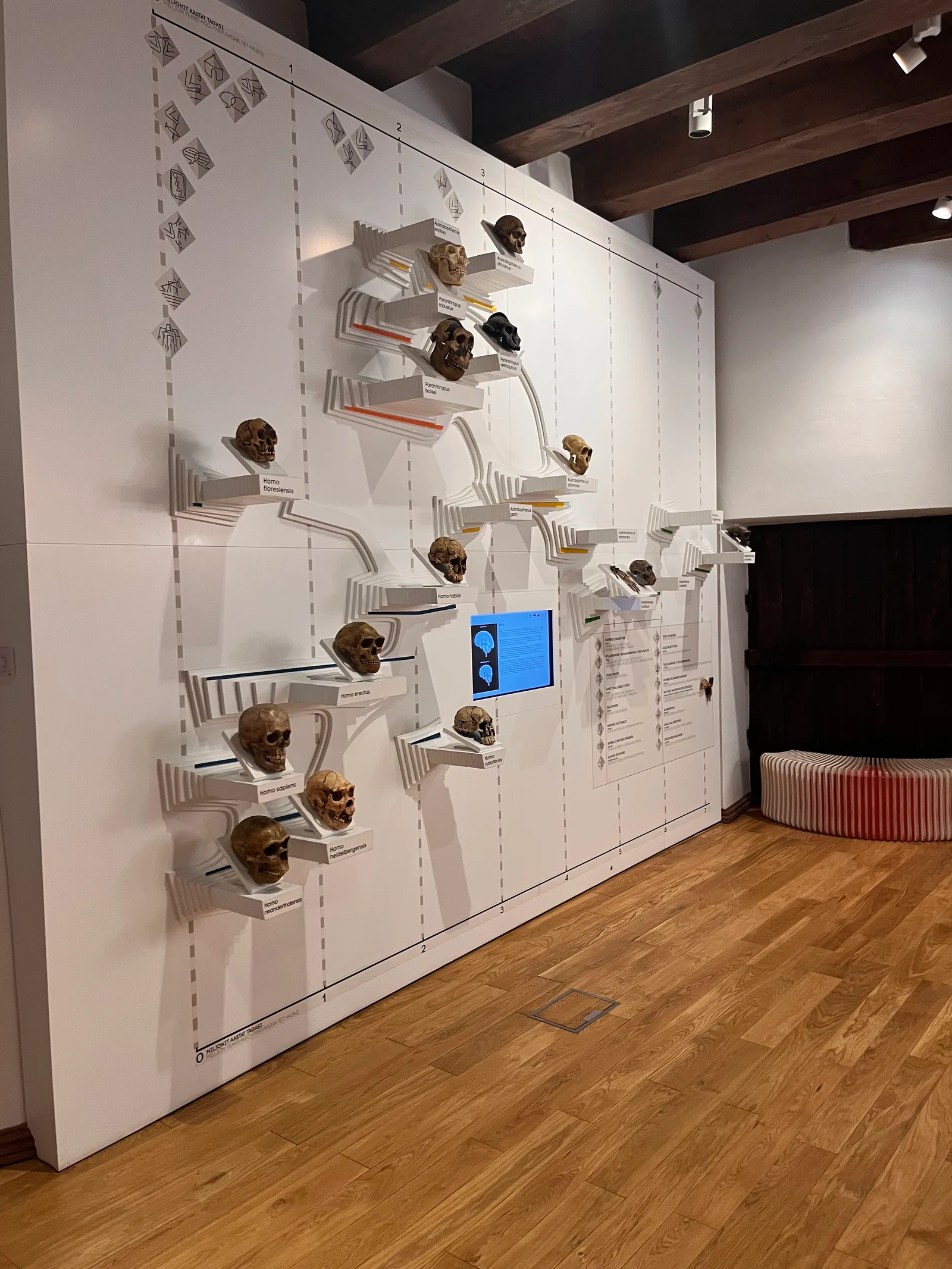 Atmosphere at Estonian Health Museum Tallinn — travel photo