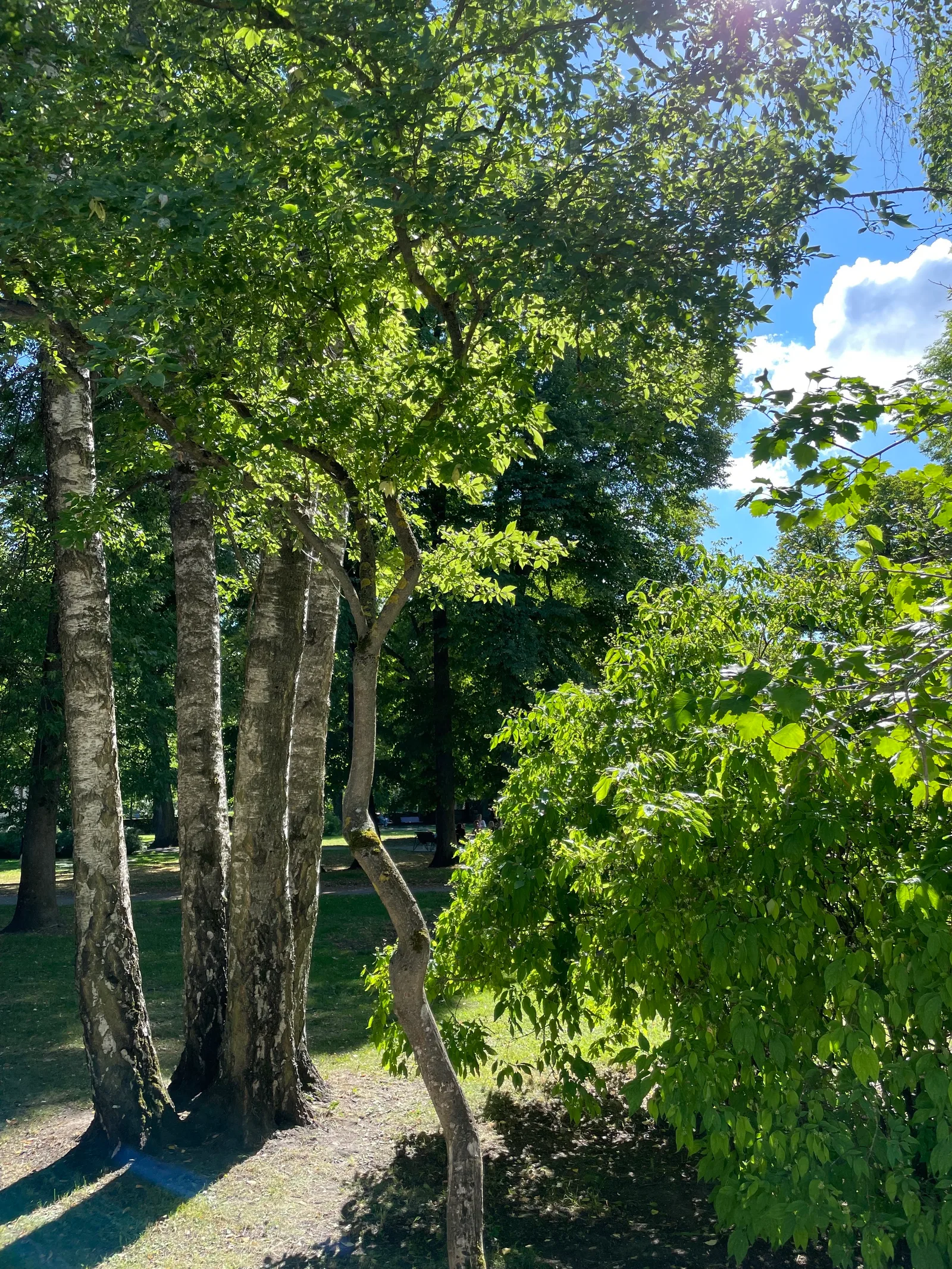 Main view at Falgi Park Tallinn — travel photo