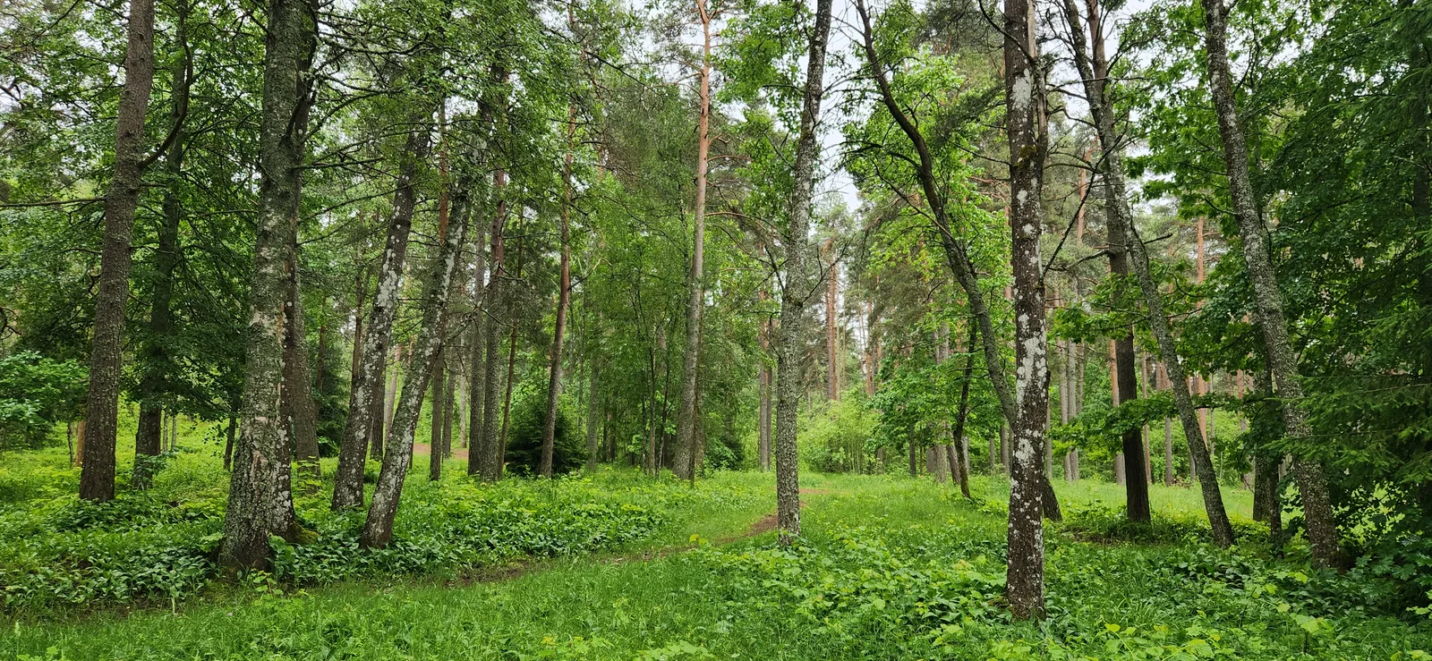 Main view at Glehn park Tallinn — travel photo