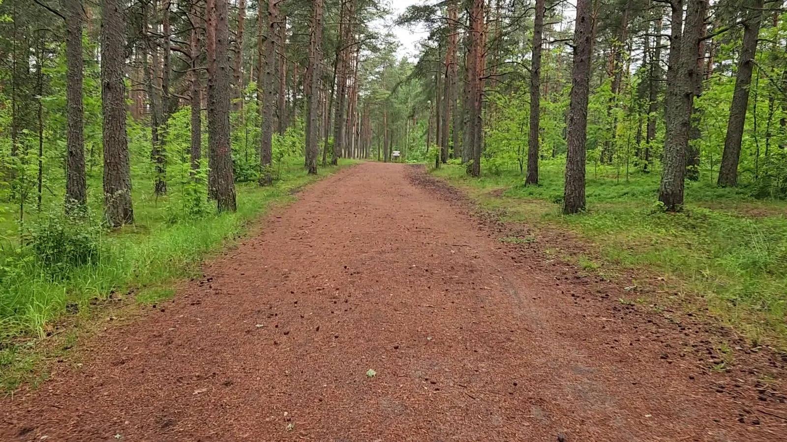 Details at Glehn park Tallinn — travel photo