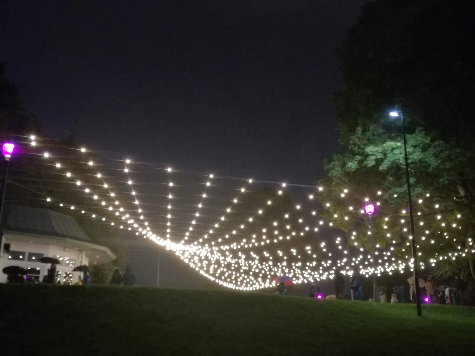 Atmosphere at Hirvepark Tallinn — travel photo