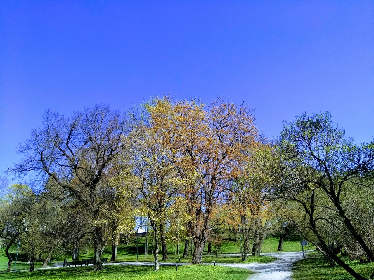 Hirvepark
