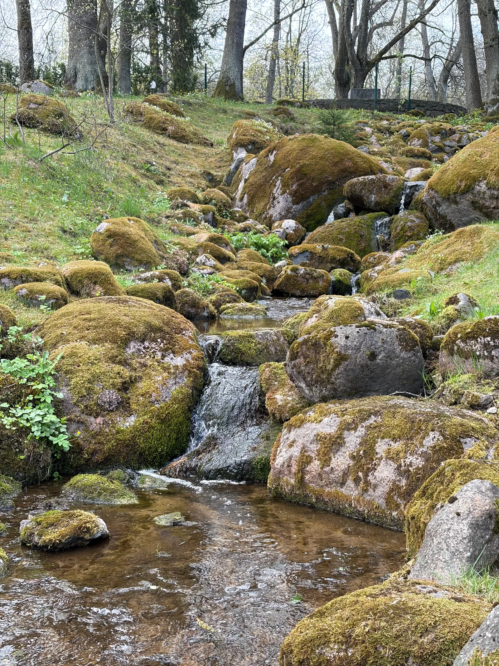 Interior at Japanese Garden Tallinn — travel photo