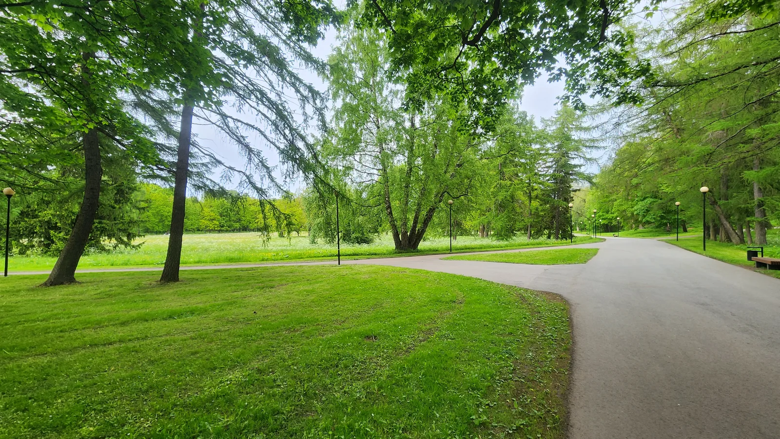 Details at Kadriorg Park Tallinn — travel photo
