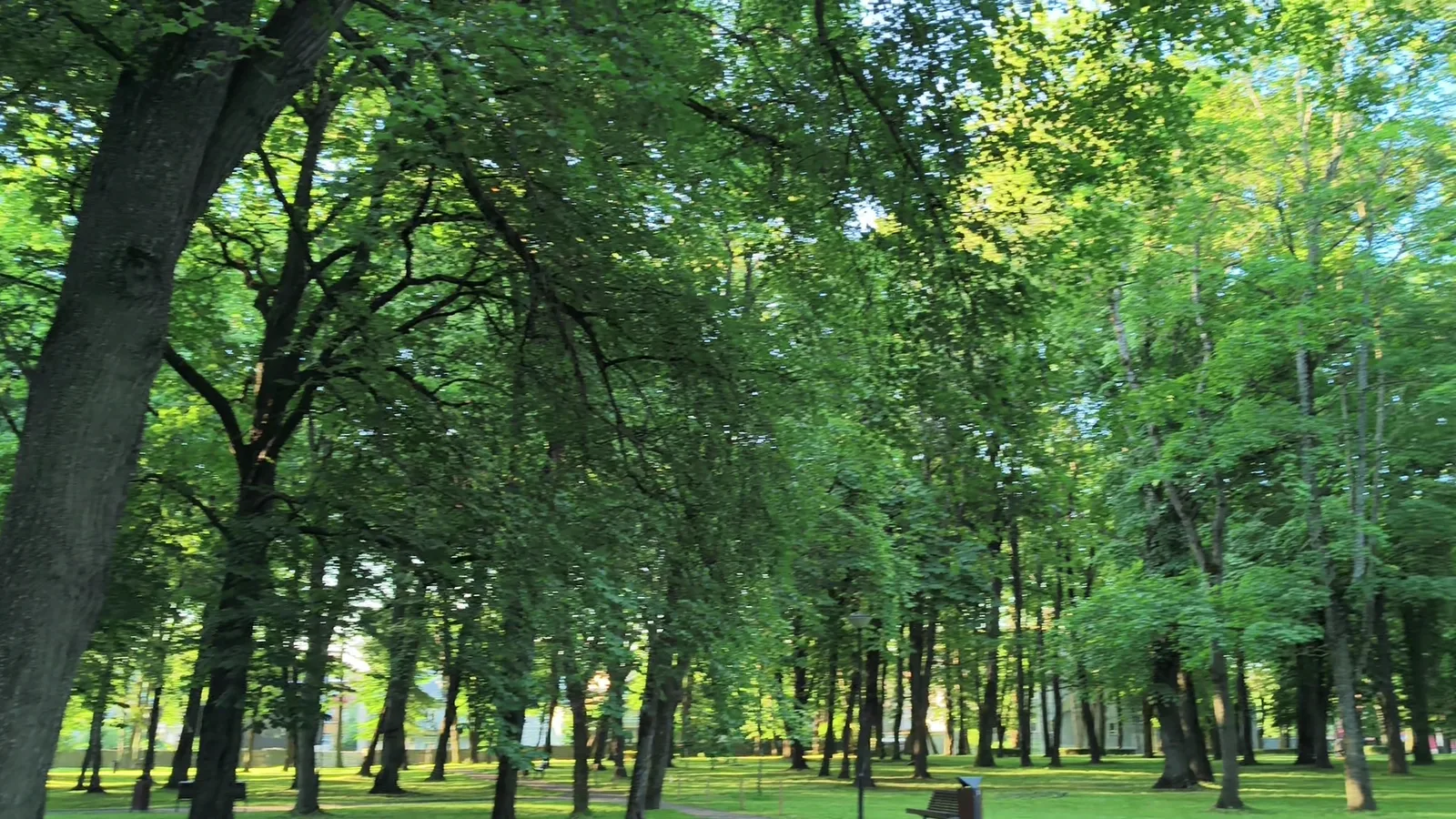 Atmosphere at Kalamaja Cemetery Park Tallinn — travel photo