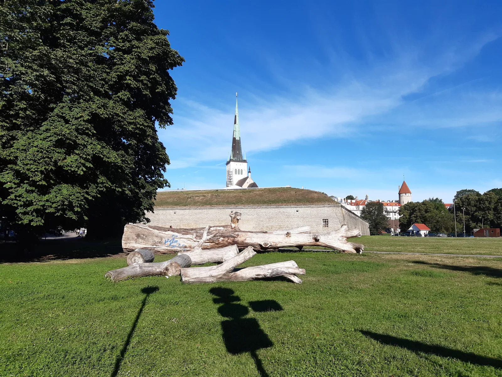 Details at Kanuti Garden Tallinn — travel photo