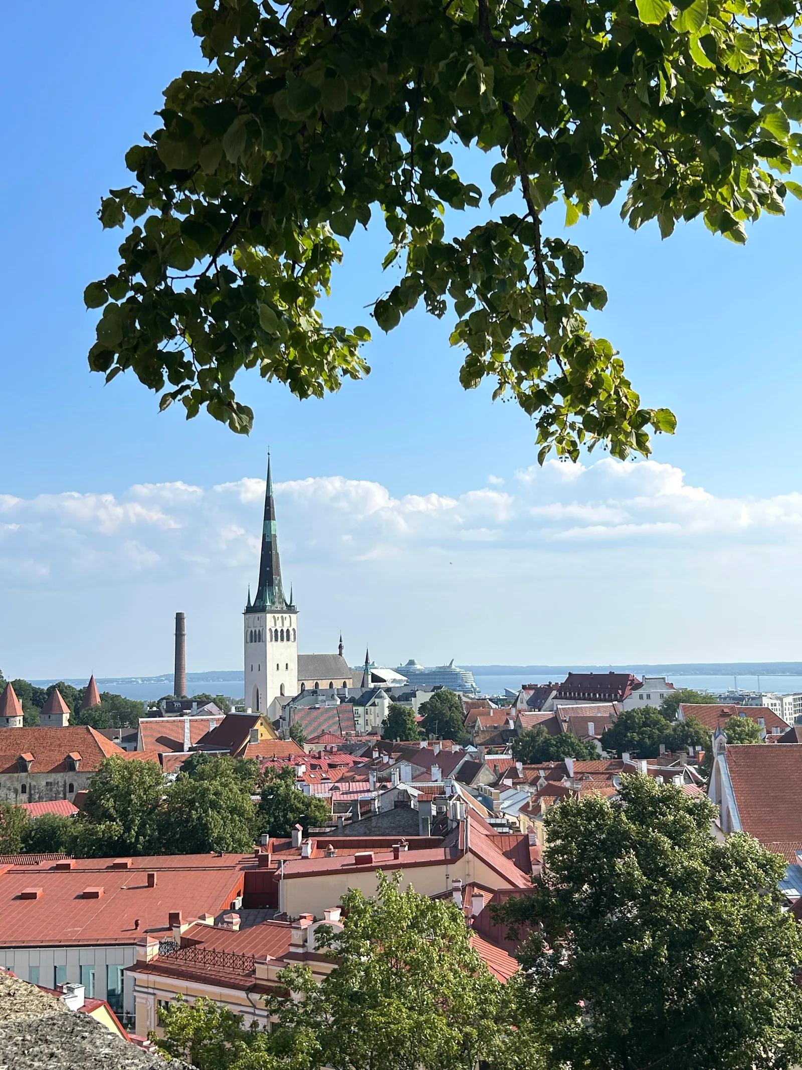 Main view at Kohtuotsa viewing platform Tallinn — travel photo