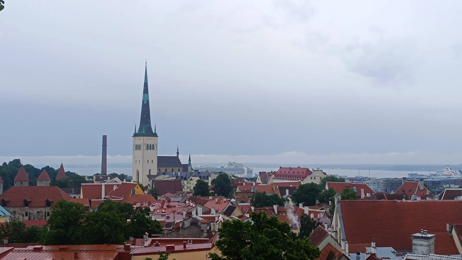 Details at Kohtuotsa viewing platform Tallinn — travel photo