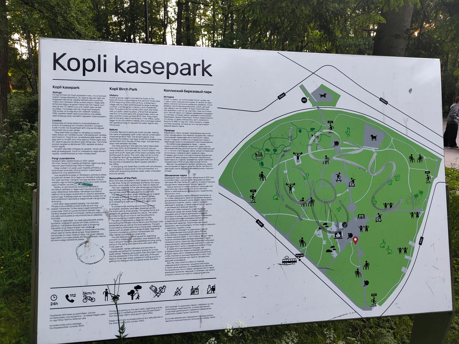 Main view at Kopli Birch Park Tallinn — travel photo