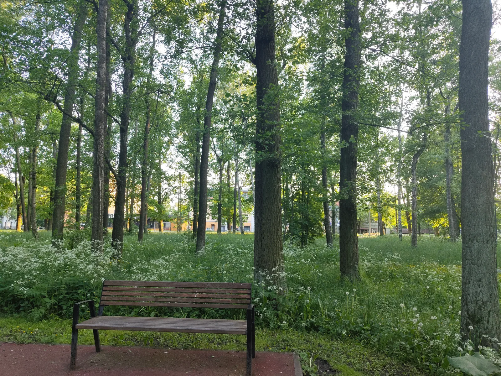 Details at Kopli Birch Park Tallinn — travel photo