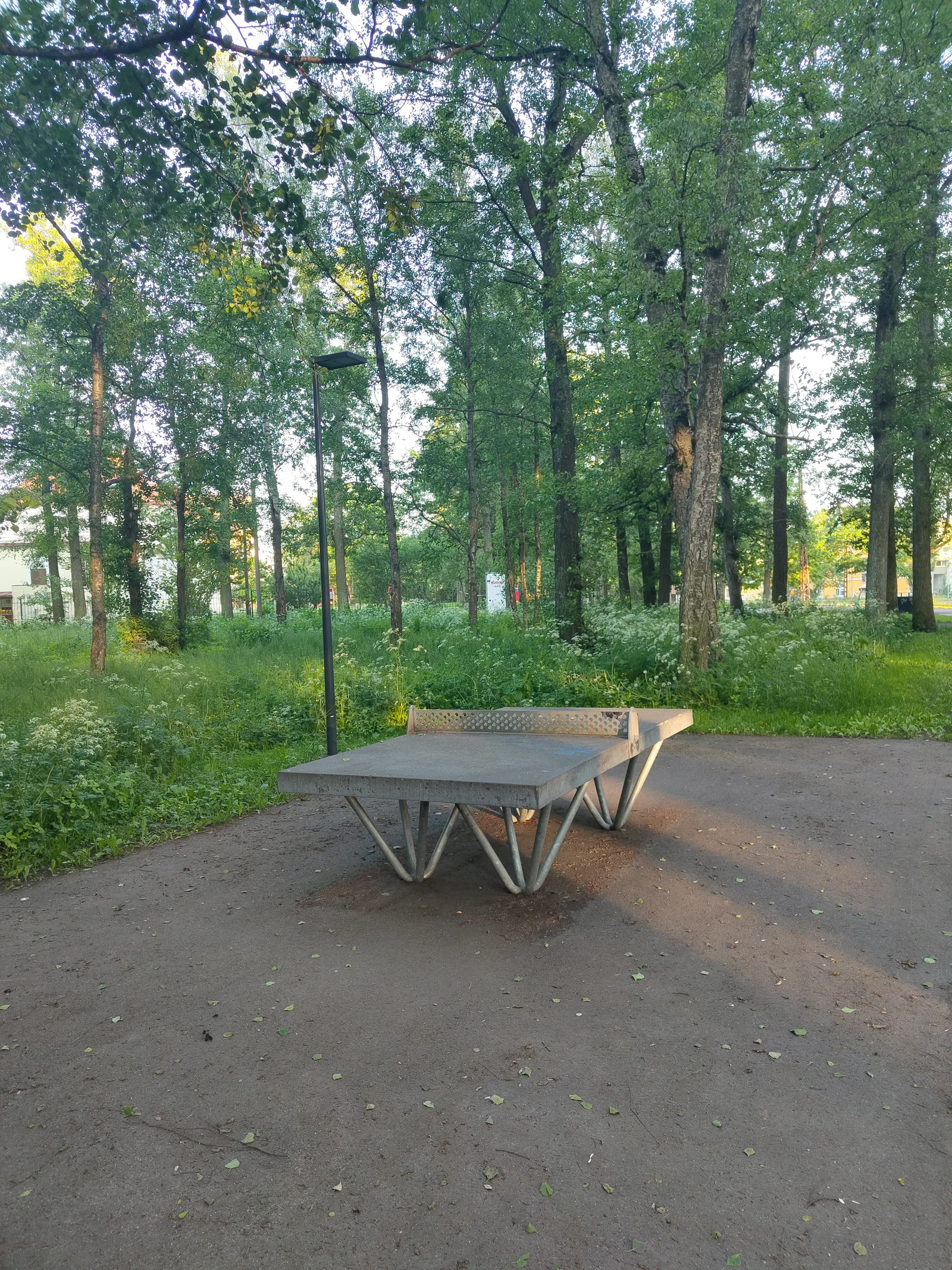 Atmosphere at Kopli Birch Park Tallinn — travel photo