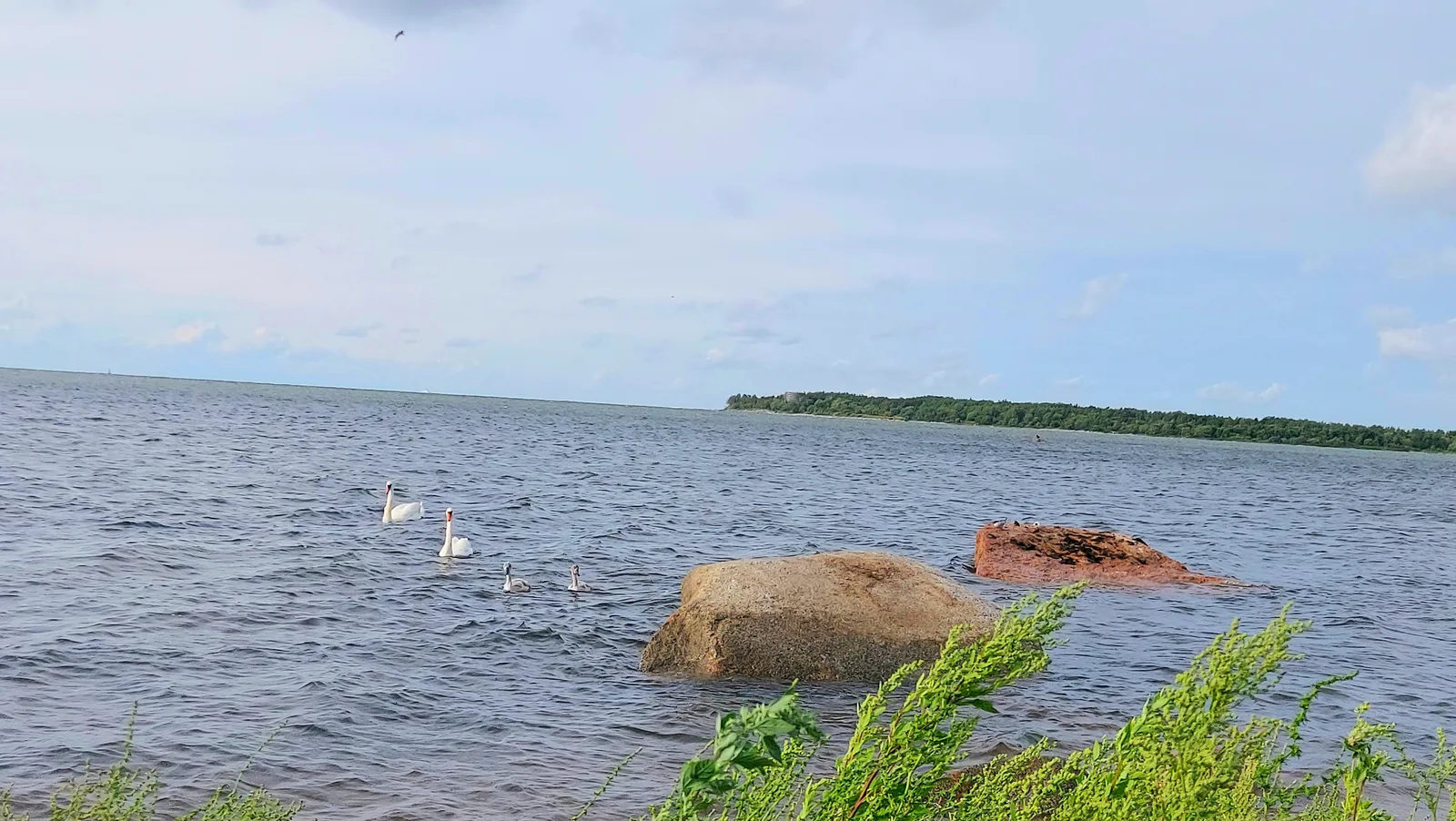 Main view at Kopli Lines Beach Promenade Tallinn — travel photo