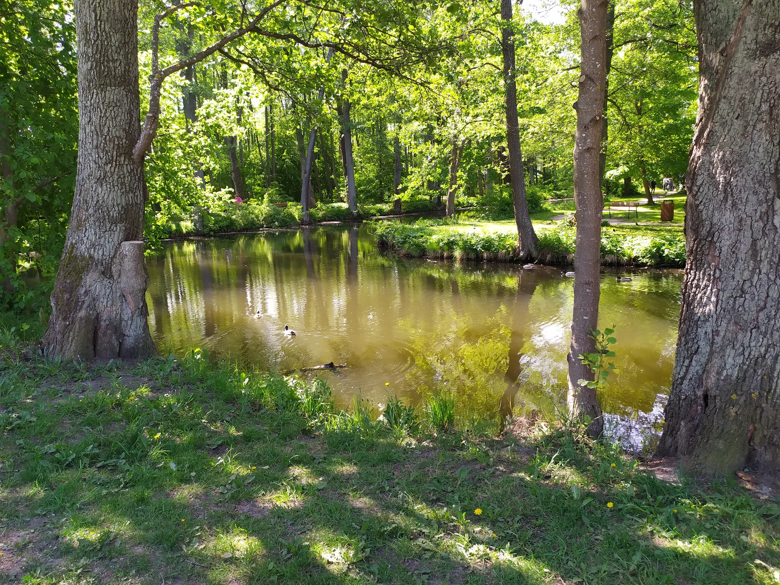 Interior at Löwenruh Park Tallinn — travel photo