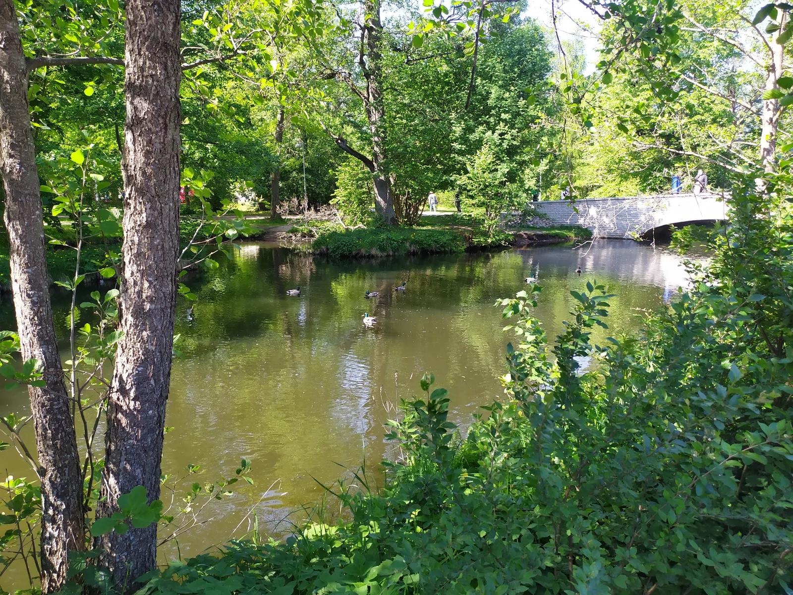 Atmosphere at Löwenruh Park Tallinn — travel photo