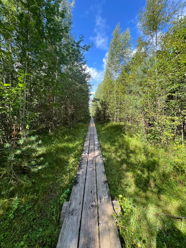 Pääsküla bog trail