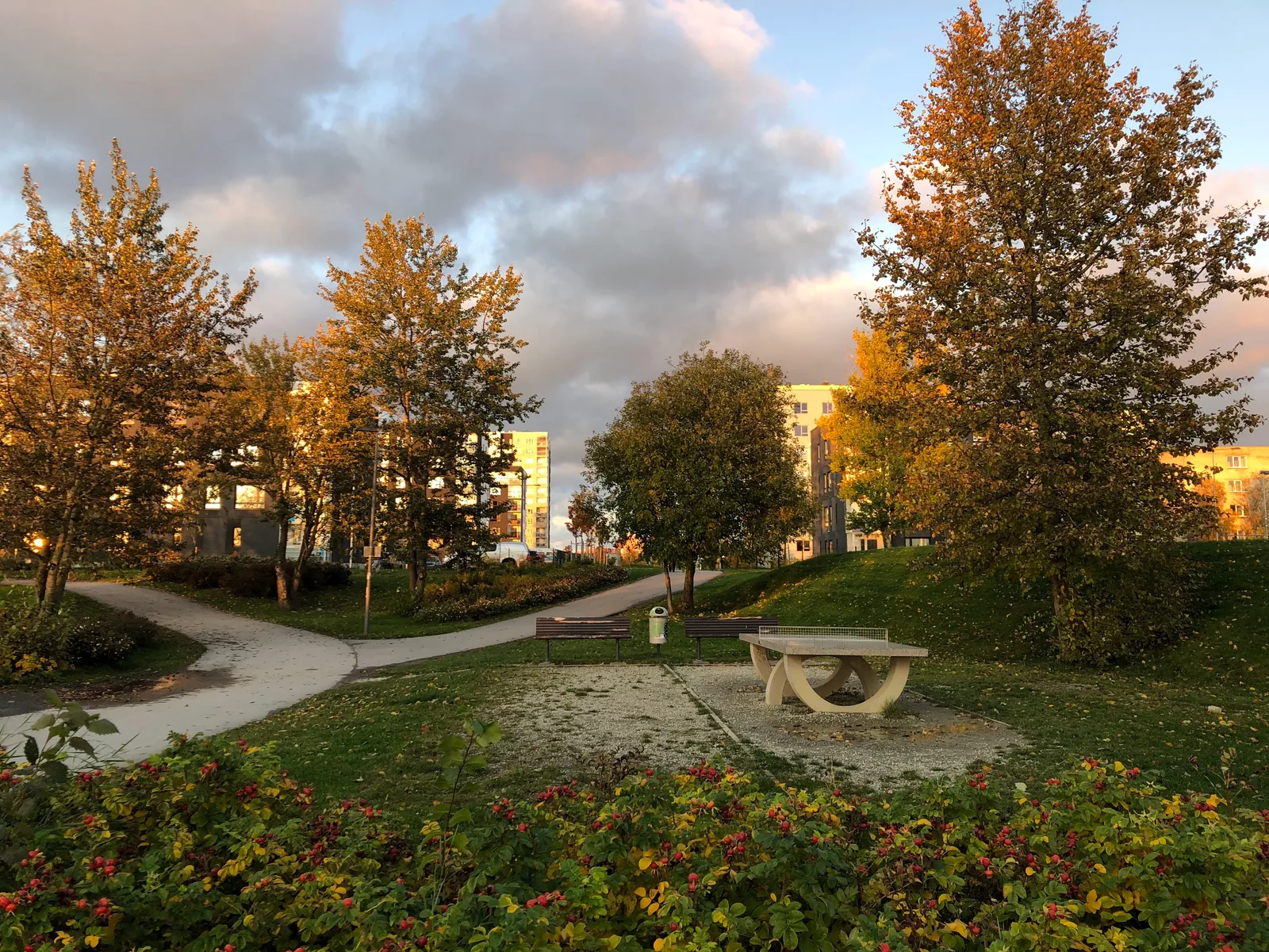 Atmosphere at Pae park Tallinn — travel photo
