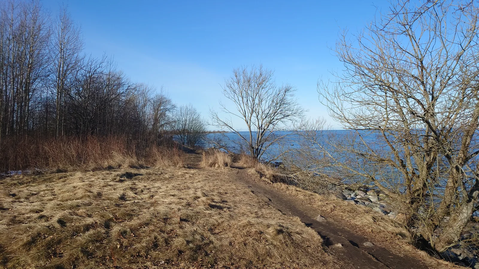 Interior at Paljassaare birdwatching tower Tallinn — travel photo