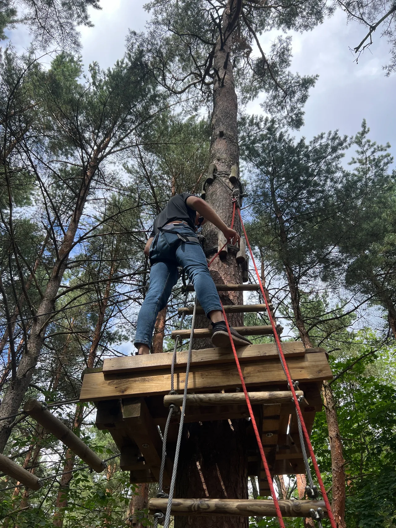 Pirita Adventure Park — budget guide Tallinn
