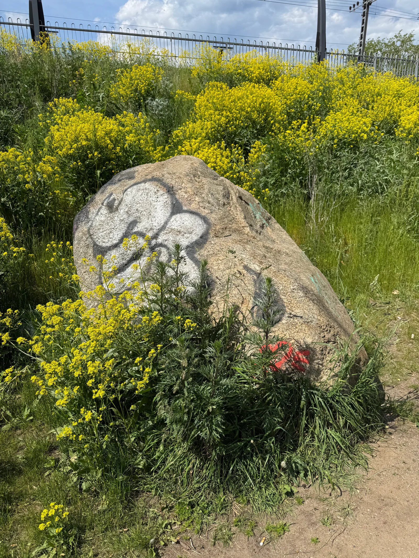 Details at Rock Of Tondi Tallinn — travel photo