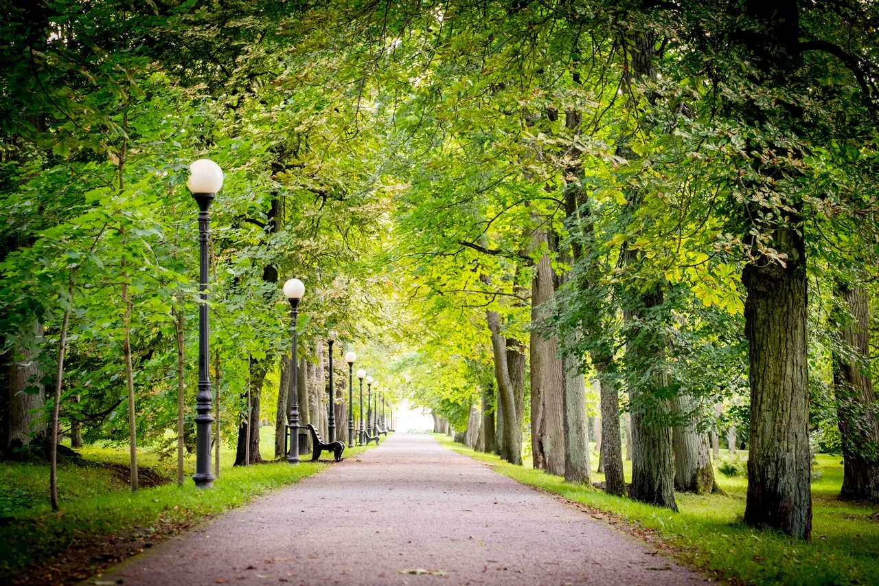 Roosimägi — romantic guide Tallinn