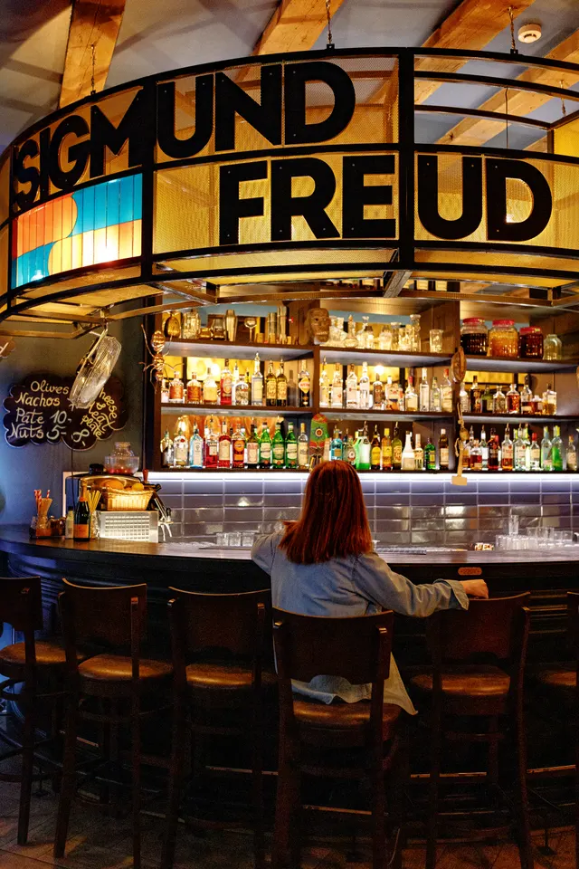 Sigmund Freud Bar