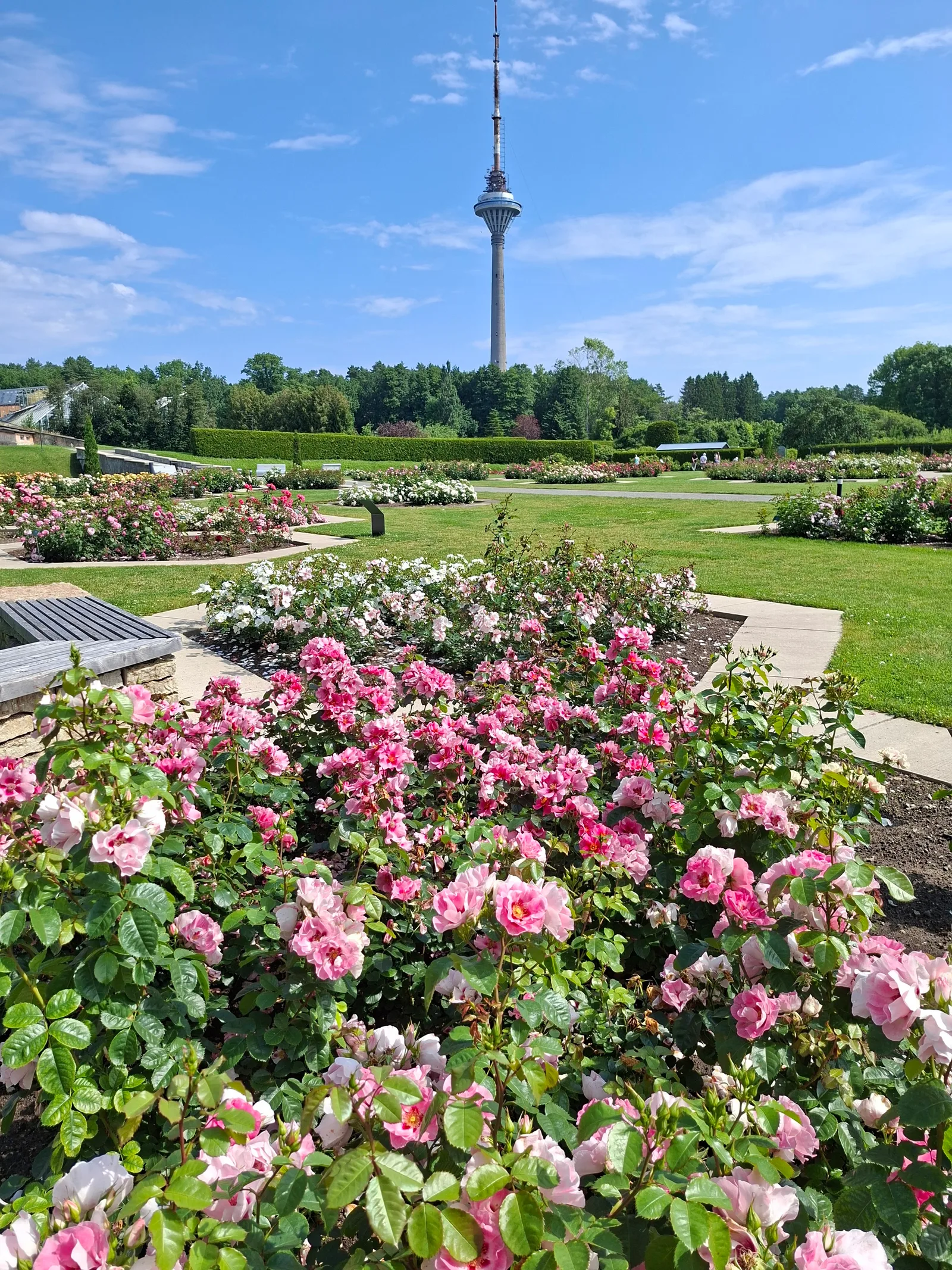 Main view at Tallinn Botanic Garden Tallinn — travel photo