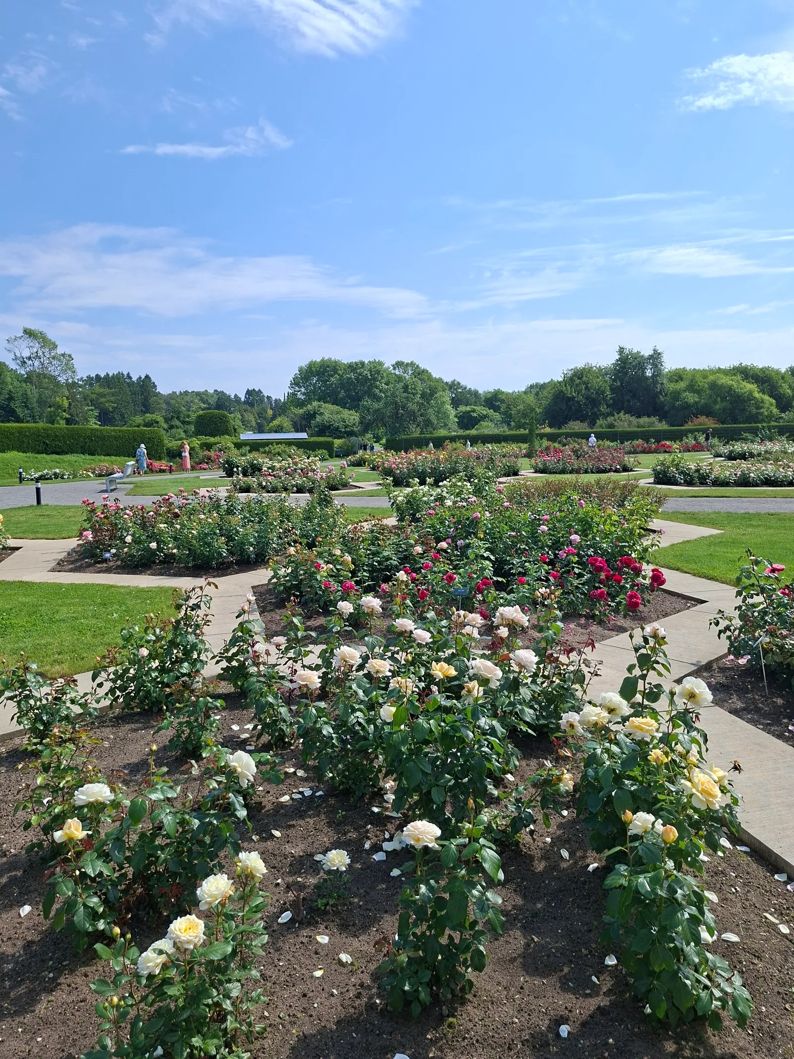 Interior at Tallinn Botanic Garden Tallinn — travel photo
