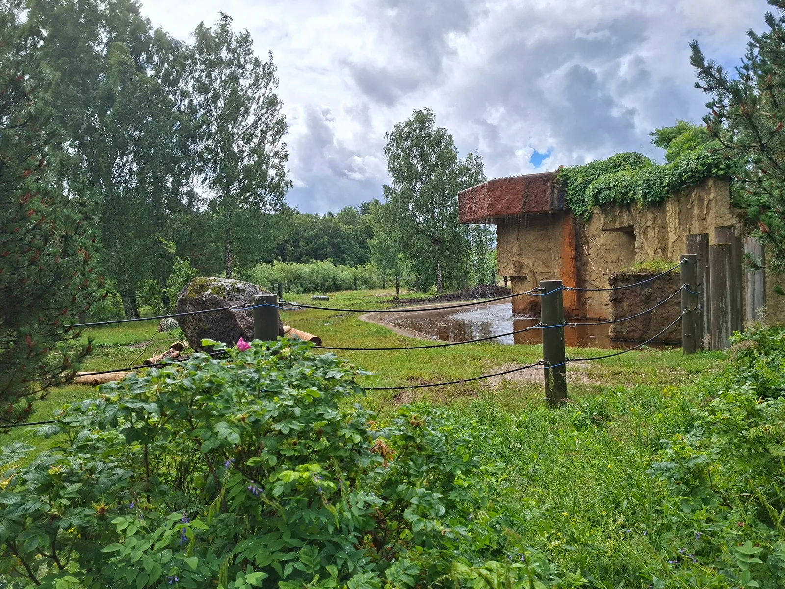 Main view at Tallinn Zoo Tallinn — travel photo
