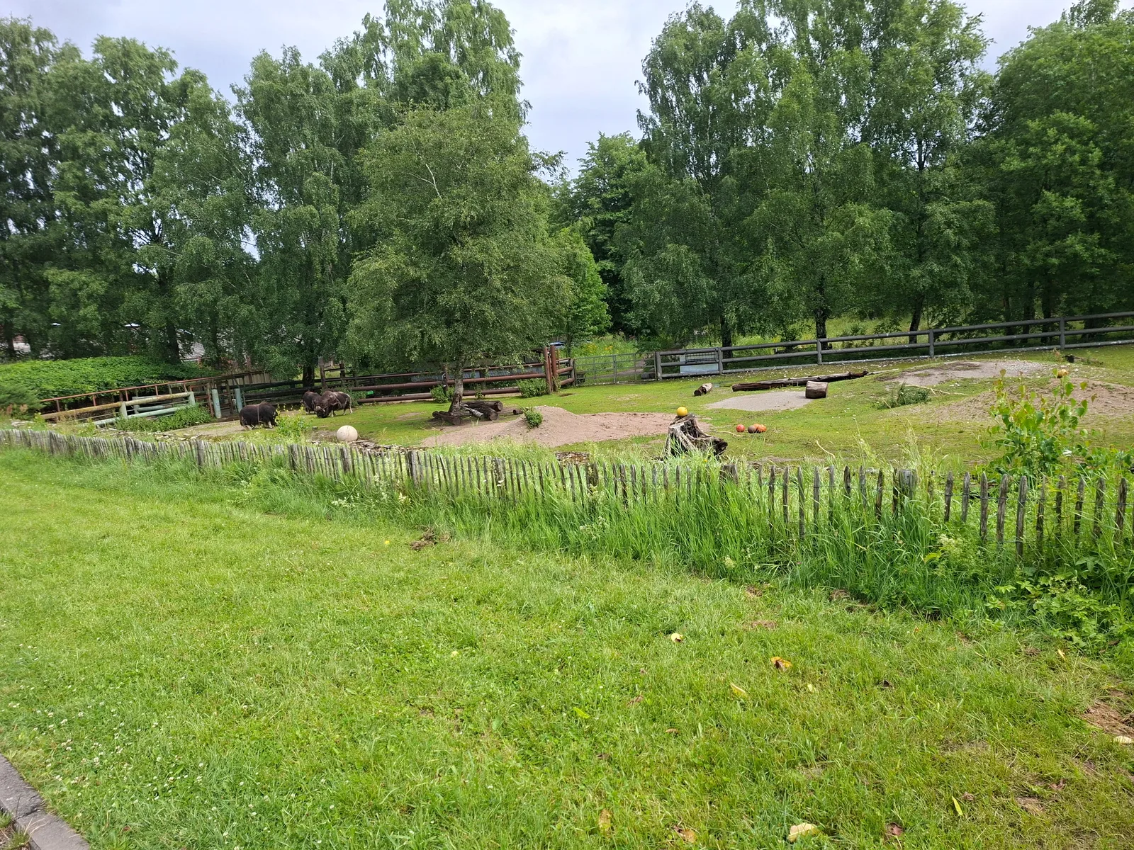 Atmosphere at Tallinn Zoo Tallinn — travel photo