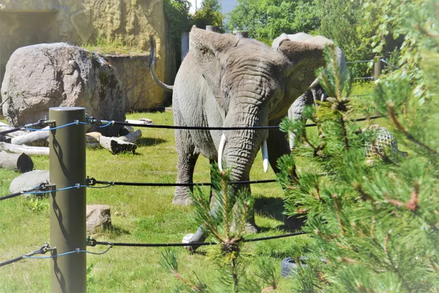 Tallinn Zoo in Tallinn