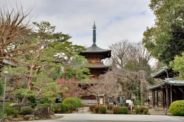 Atmosphere at Gōtoku-ji (chat) Tokyo — travel photo
