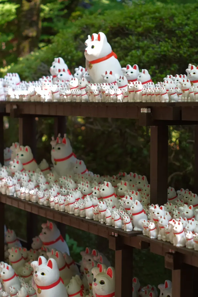 Gōtoku-ji (chat)
