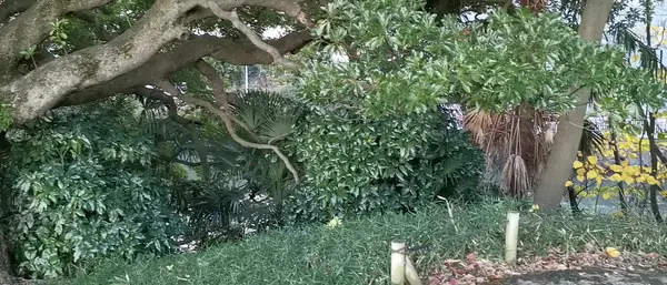 Interior at Hamarikyu Gardens Tokyo — travel photo