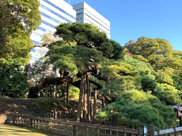 Atmosphere at Hamarikyu Gardens Tokyo — travel photo