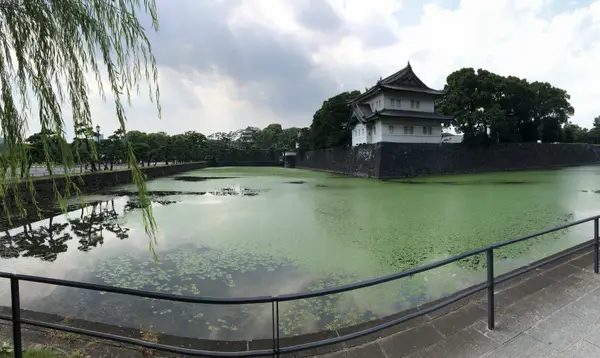 Details at Imperial Palace Tokyo — travel photo
