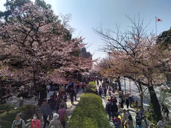 Atmosphere at Imperial Palace Tokyo — travel photo