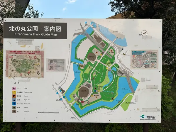 Details at Kita-no-maru Park Tokyo — travel photo