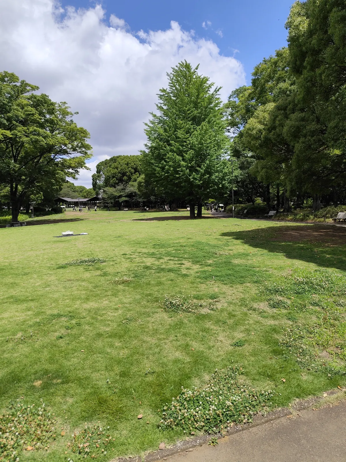 Kita-no-maru Park — romantic guide Tokyo